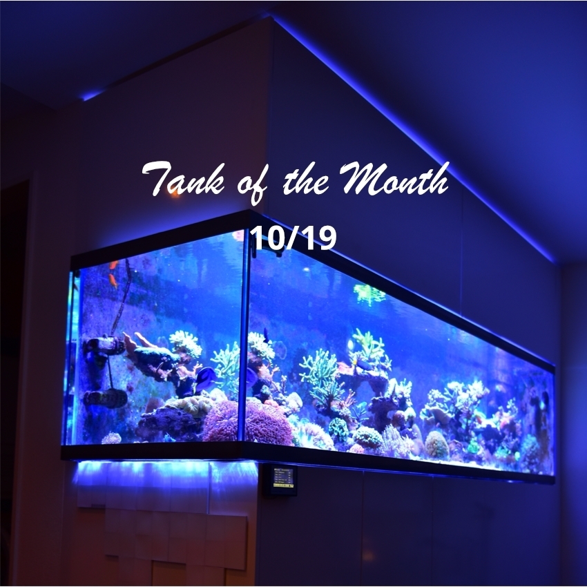 Tank Of The Month TOTM October 2019 GHL Advanced Technology