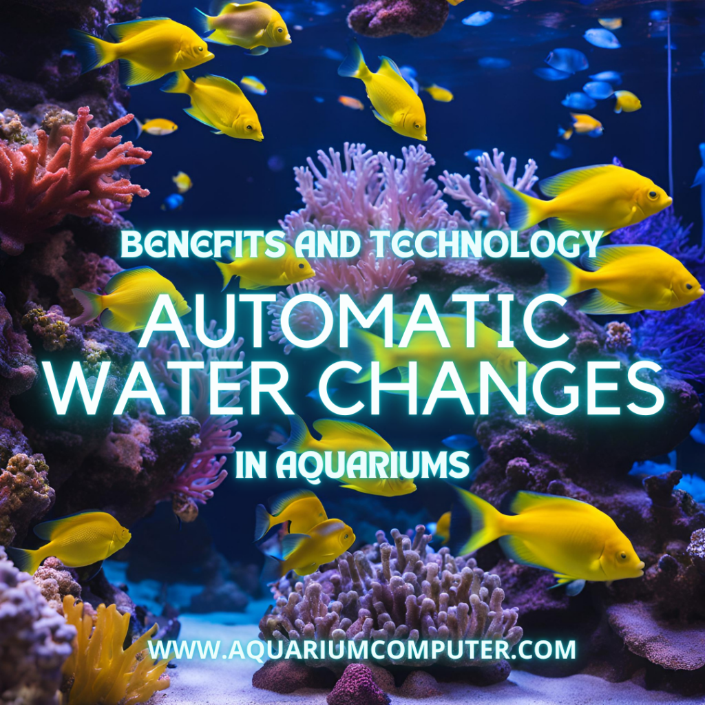 A Deep Dive into Automatic Water Changes in Aquariums