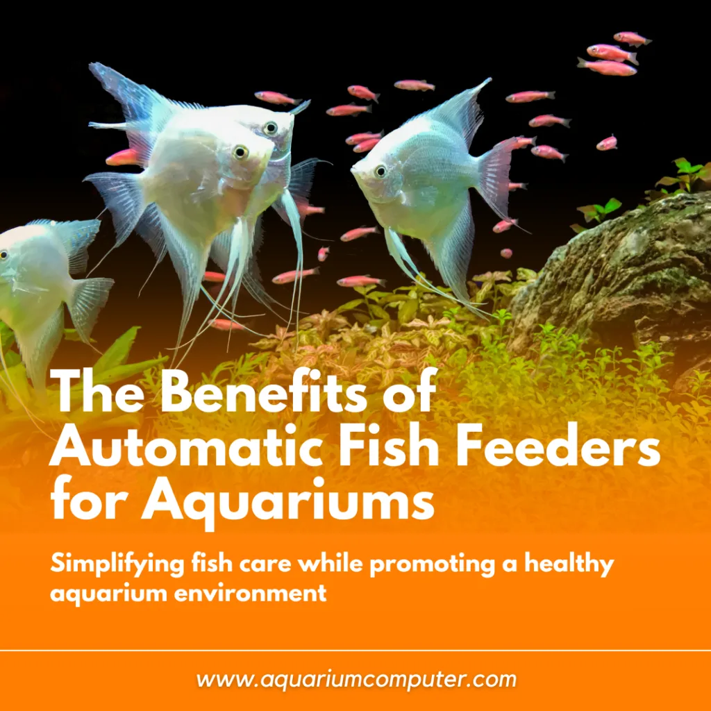 The Benefits of Automatic Fish Feeders for Aquariums