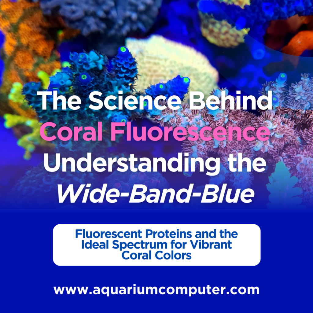 The Science Behind Coral Fluorescence: Understanding the 